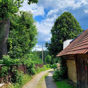 kuchriska-rakova_15_original