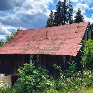 kuchriska-rakova_16_original