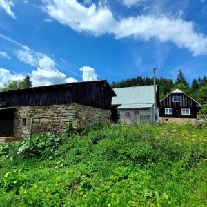 kuchriska-rakova_17_original
