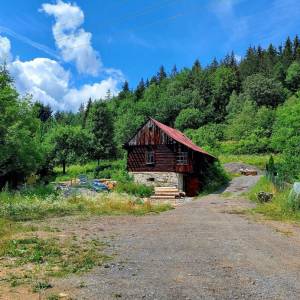 kuchriska-rakova_18_original