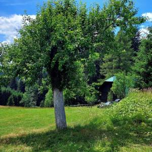 kuchriska-rakova_1_original