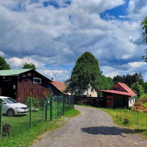 kuchriska-rakova_2_original