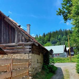 kuchriska-rakova_6_original