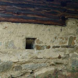 kuchriska-rakova_8_original