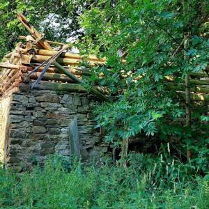 kuchriska-staskov_1_original