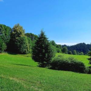 kuchriska-staskov_8_original