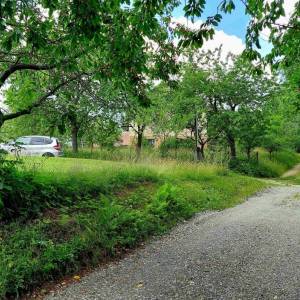 kukolanka-rakova_4_original