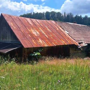 kukolanka-rakova_5_original