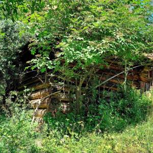 lachmanovci-rudinska_12_original