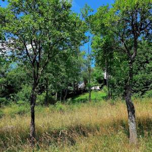 lachmanovci-rudinska_3_original