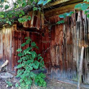 lachmanovci-rudinska_7_original