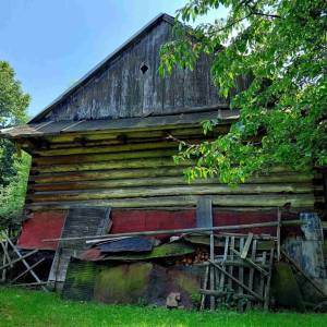 lazy-cadca_4_original