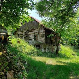 lazy-cadca_8_original