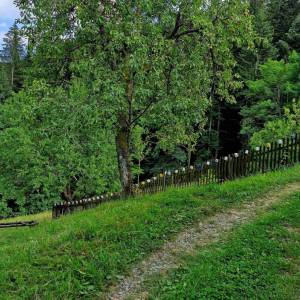 matejnikovci-vysoka-nad-kysucou_8_original