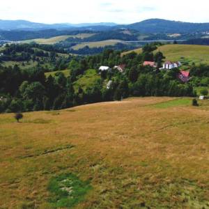 mojovci-cierne-001_original