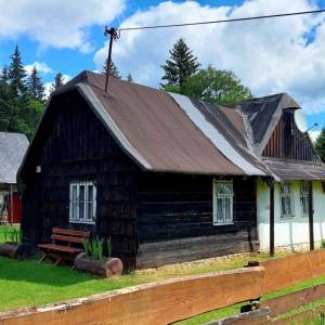 mravcovci-staskov_2_original