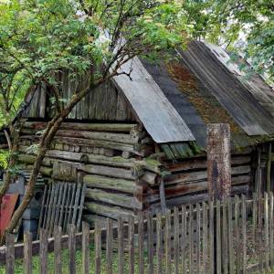 mravcovci-staskov_3_original
