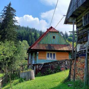 muchovci-korna_10_original
