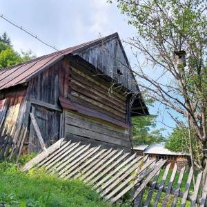 muchovci-korna_14_original