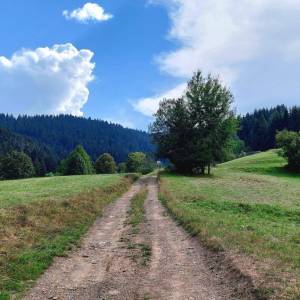 muchovci-korna_17_original
