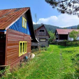 muchovci-korna_18_original