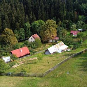 muchovci-korna_19_original