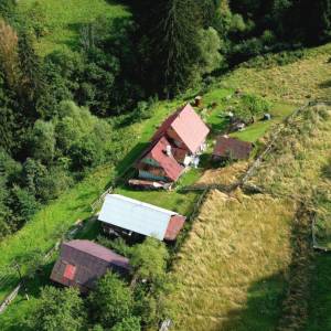 muchovci-korna_1_original
