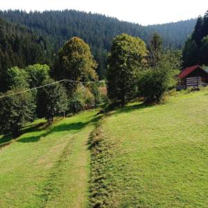 muchovci-korna_5_original