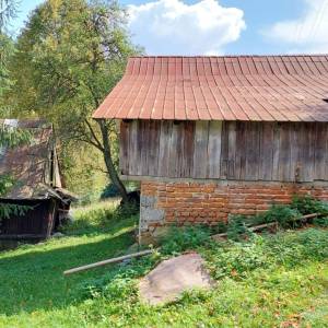 muchovci-korna_6_original