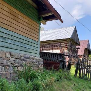 muchovci-korna_7_original