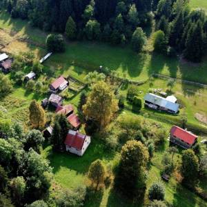 muchovci-korna_8_original