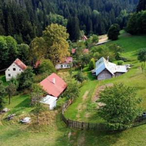 muchovci-korna_9_original