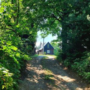 na-doline-olesna_3_original