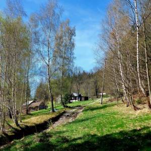 pisarovia-makov_15_original