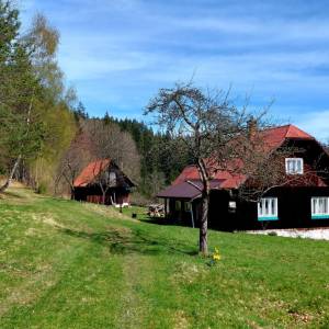 pisarovia-makov_4_original