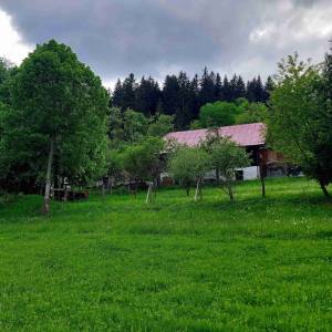 predmier-turzovka_2_original