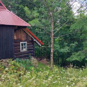 predni-kubusovci-oscadnica_10_original