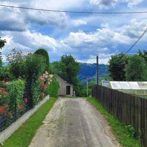 predni-kubusovci-oscadnica_2_original