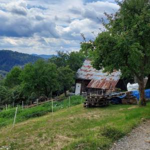 predni-kubusovci-oscadnica_5_original