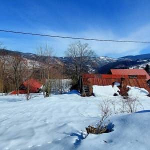 predni-moskalovci-oscadnica_7_original