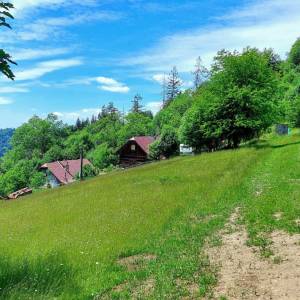 prislop-oscadnica_1_original