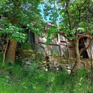 prislop-oscadnica_8_original