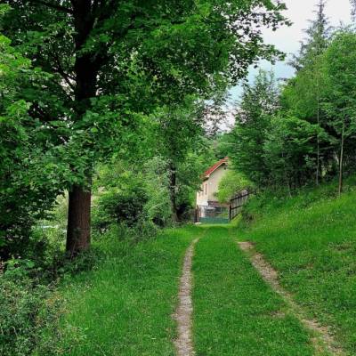 prpovci-dunajov_7_original
