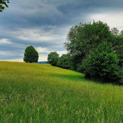 prpovci-dunajov_8_original