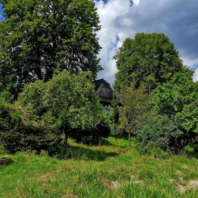 skornov-grun-korna_10_original