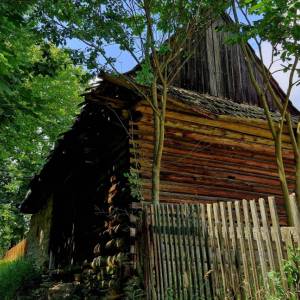 skornov-grun-korna_11_original