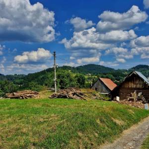 skornov-grun-korna_13_original