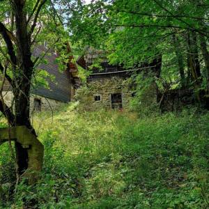 skornov-grun-korna_15_original