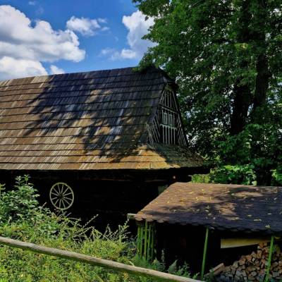 skornov-grun-korna_16_original