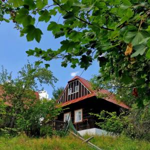 skornov-grun-korna_17_original